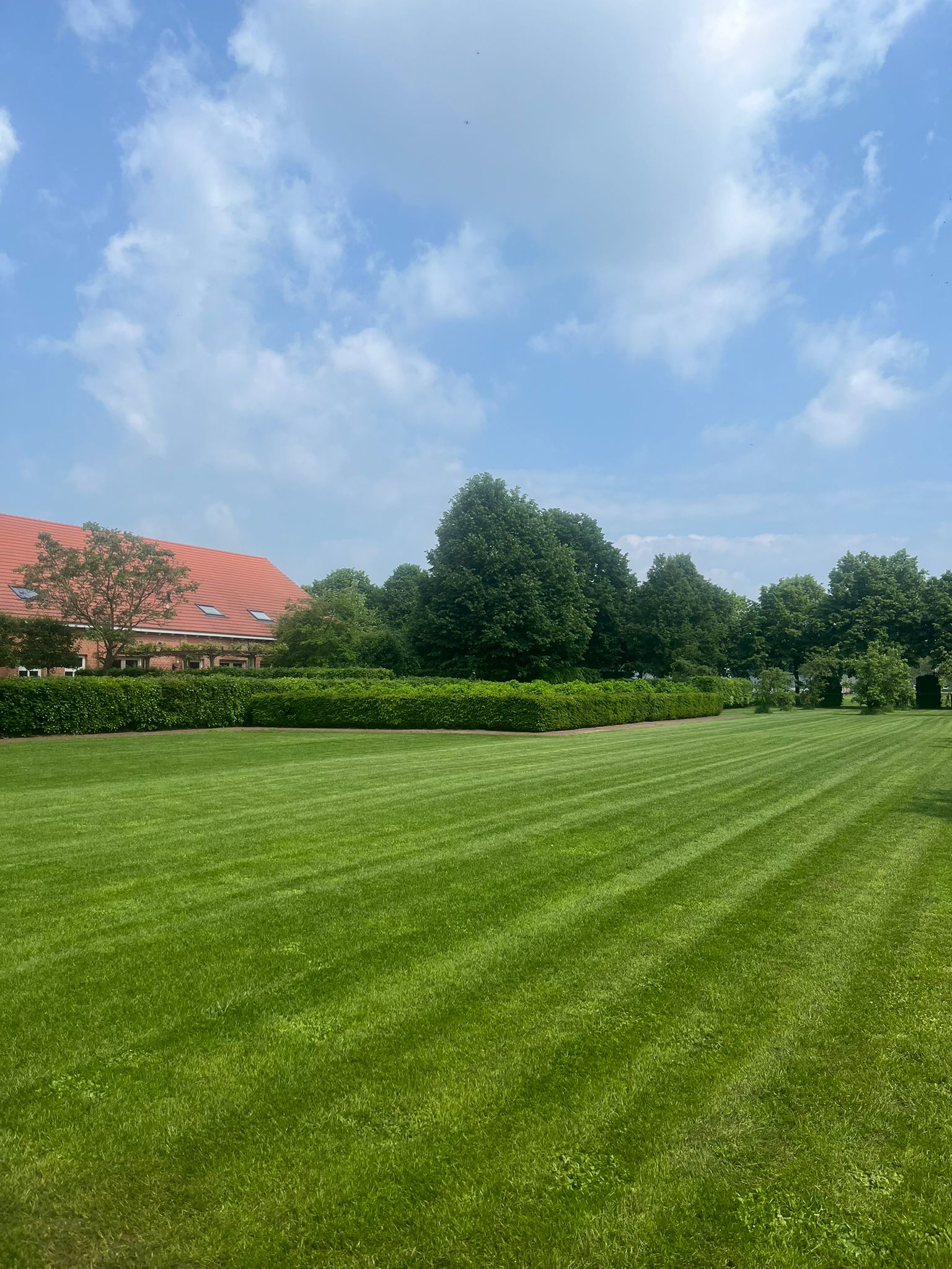 Groot gazon met hagen en karakteristiek huis