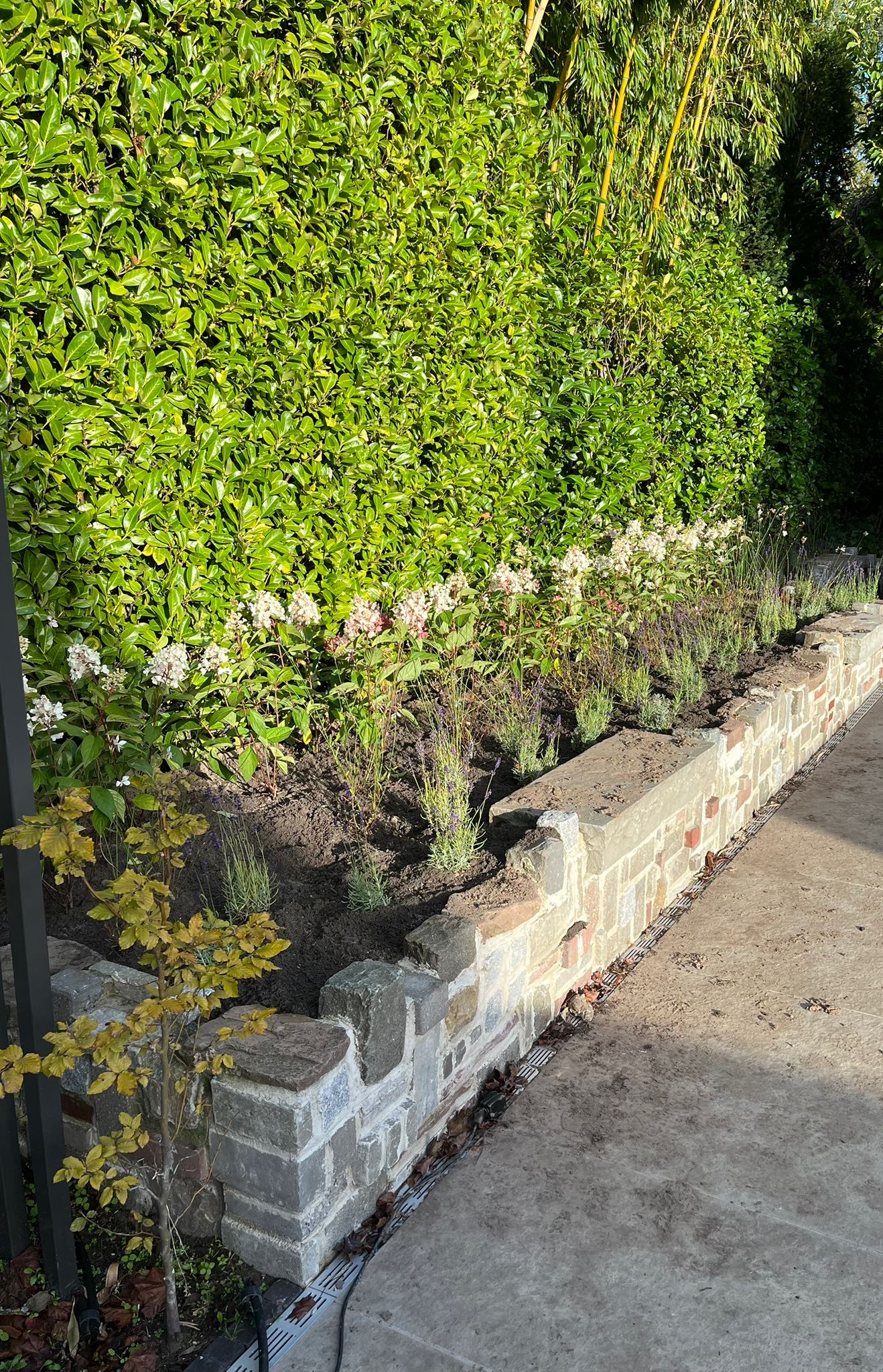 Natuurstenen muurtje met nieuwe beplanting