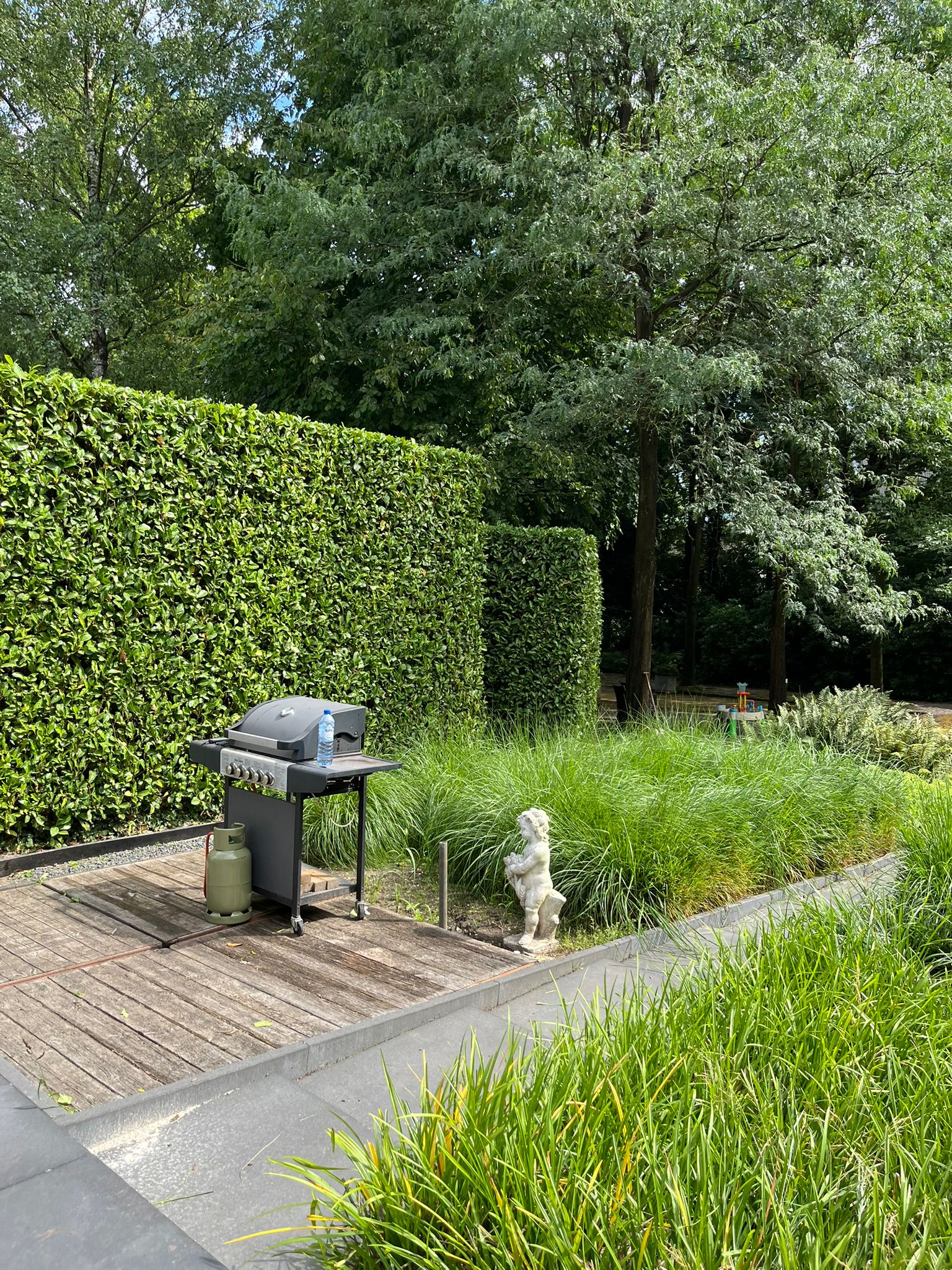 Terras met BBQ, hoge hagen en siergrassen
