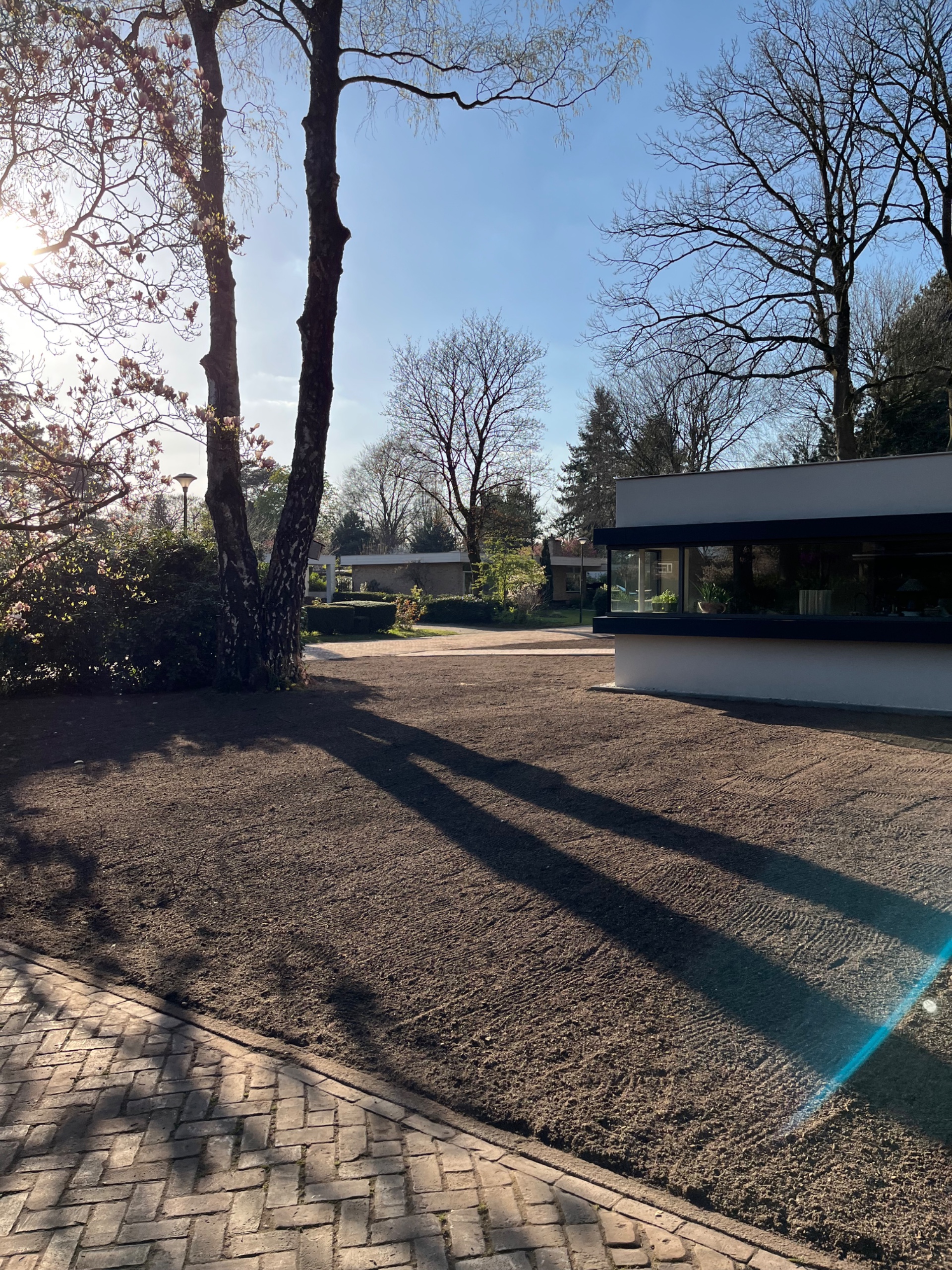 Tuin leeghalen en grondwerk