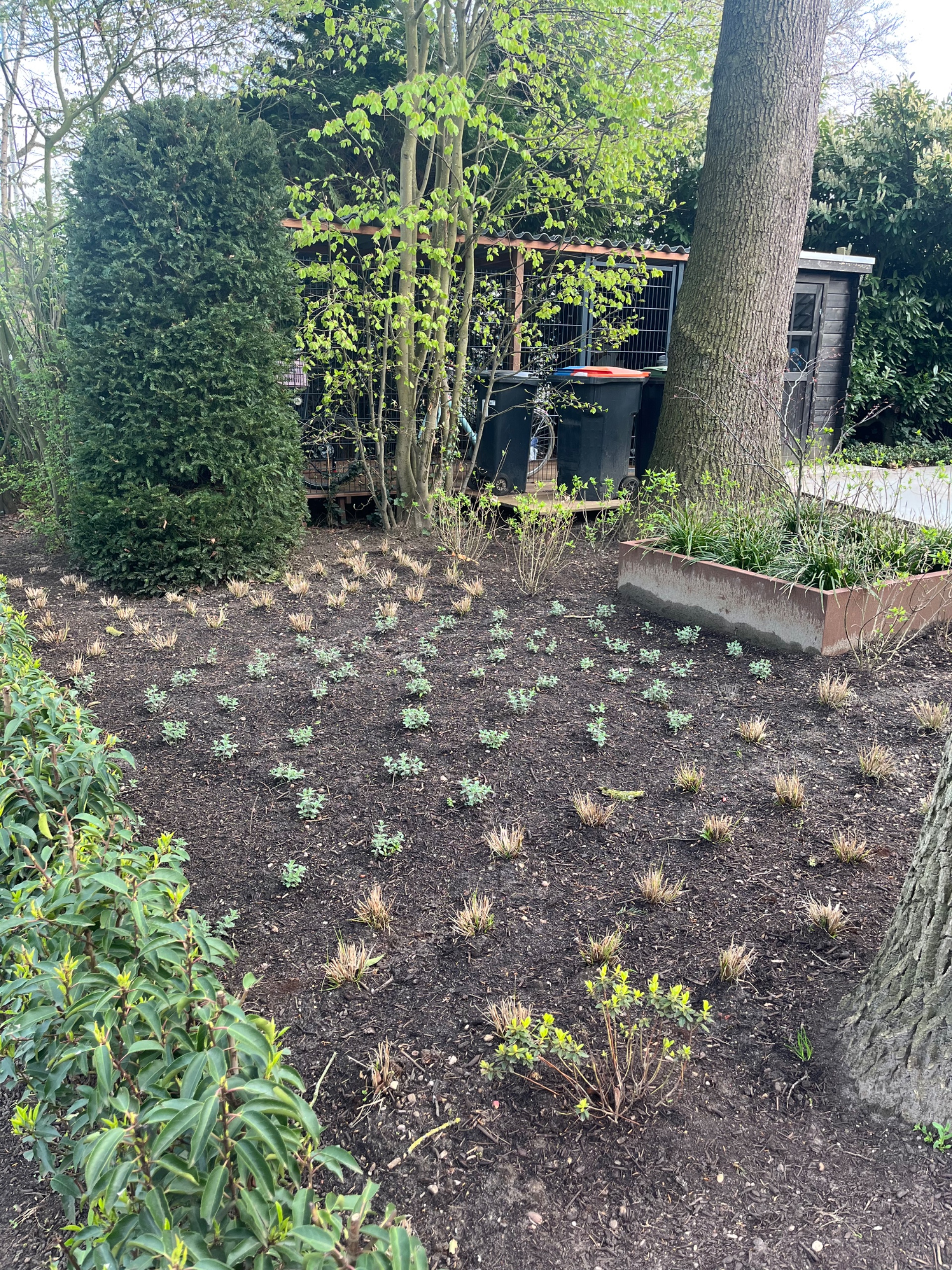 Tuin laten aanleggen