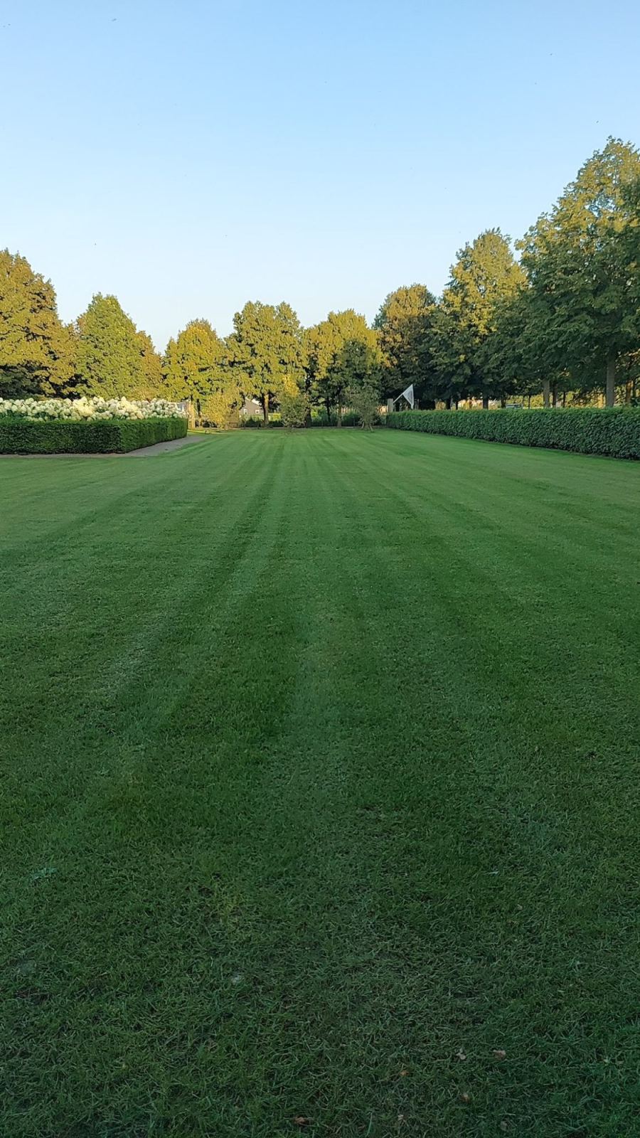 Graszoden laten leggen