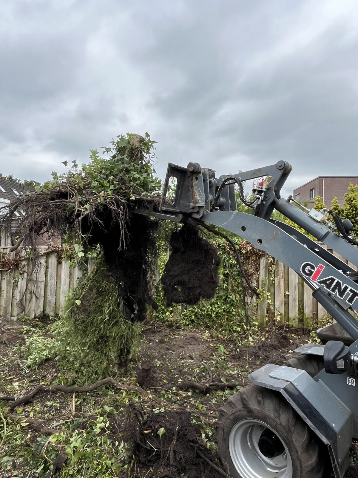 Stobbe verwijderen met de minishovel